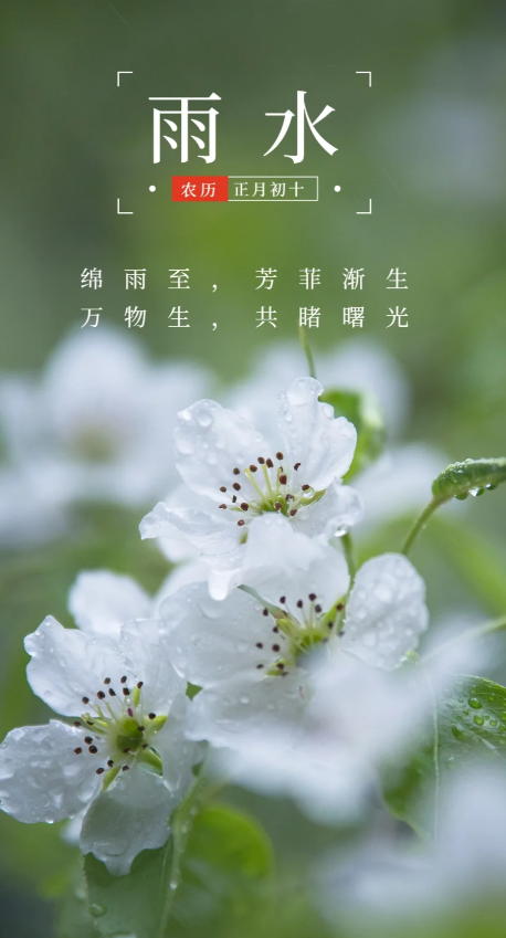 hy590海洋之神检测中心减肥 | 雨水节气，提倡康健瘦shen新民俗